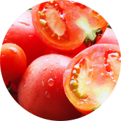 本格インド料理マサラマスター 福岡 北九州 八幡西区 直方 カレー トマト