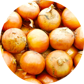 本格インド料理マサラマスター 福岡 北九州 八幡西区 直方 カレー たまねぎ