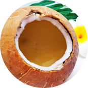 本格インド料理マサラマスター 福岡 北九州 八幡西区 直方 カレー ココナッツ